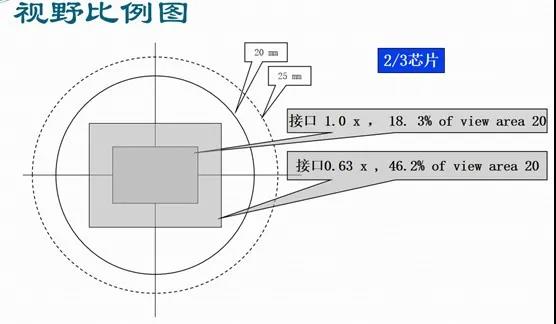 视野比例图